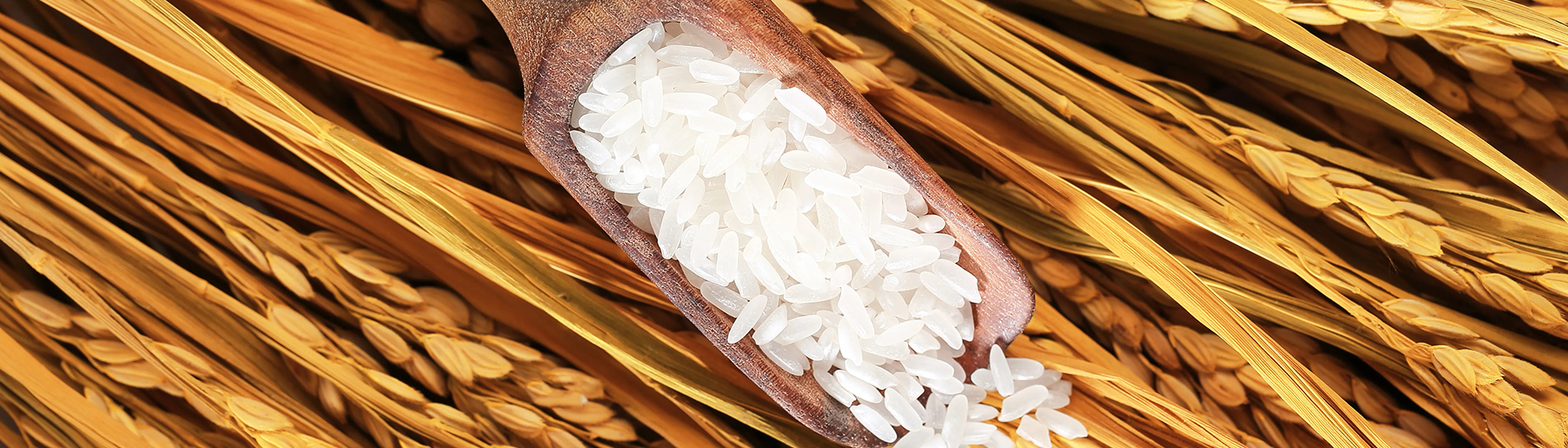 J9国际站|集团官网